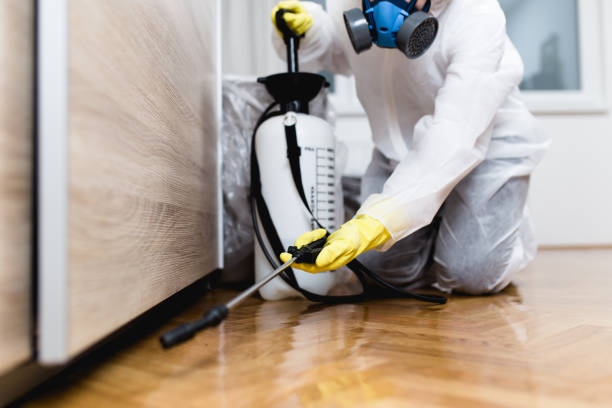Best Pest Inspection Near Me  in Sulligent, AL