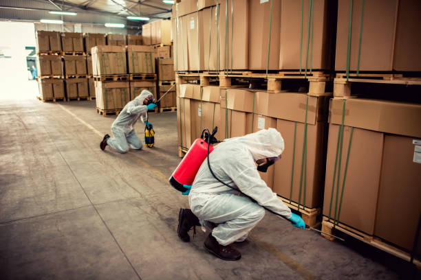 Best Pest Removal Services  in Sulligent, AL
