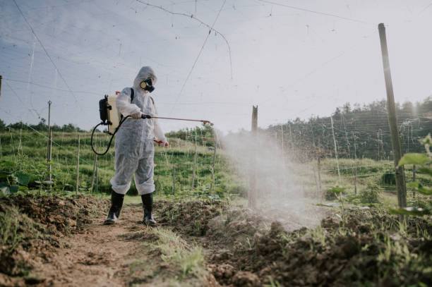 Professional Pest Control in Sulligent, AL
