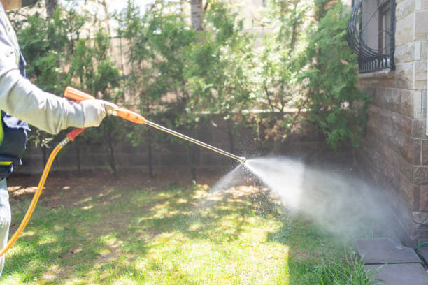 Professional Pest Control in Sulligent, AL